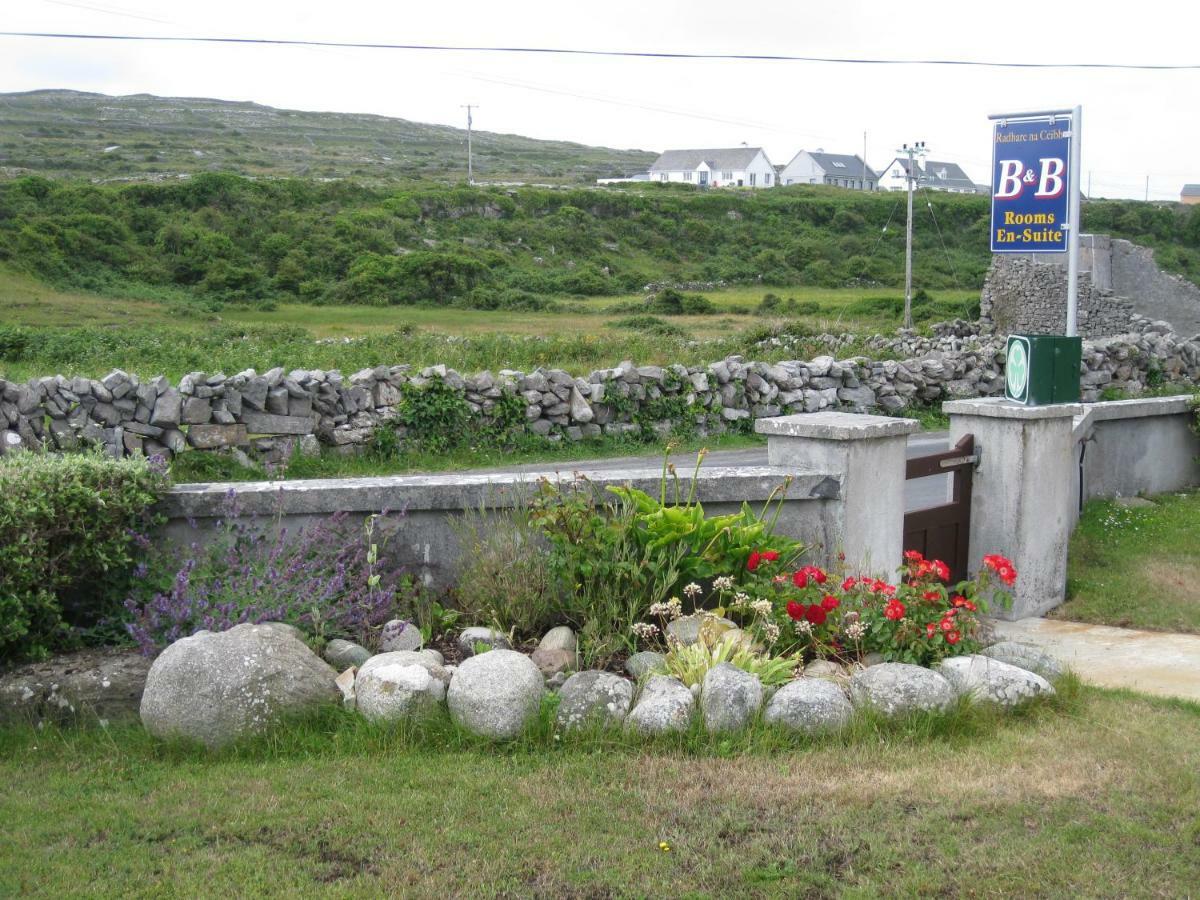 Radharc Na Ceibhe B&B H91 V0Y3 Kilronan  Eksteriør billede